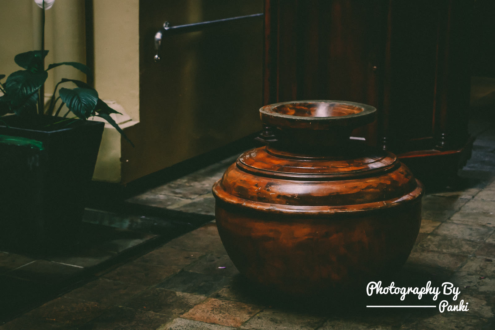 Early Pottery and Settled Life
